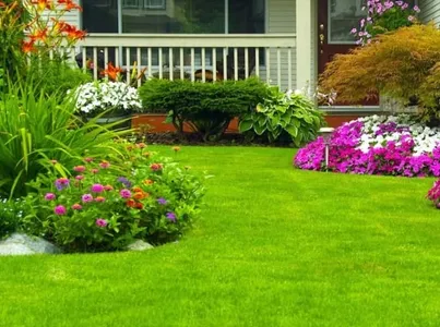 Şile Bahçe Temizliği